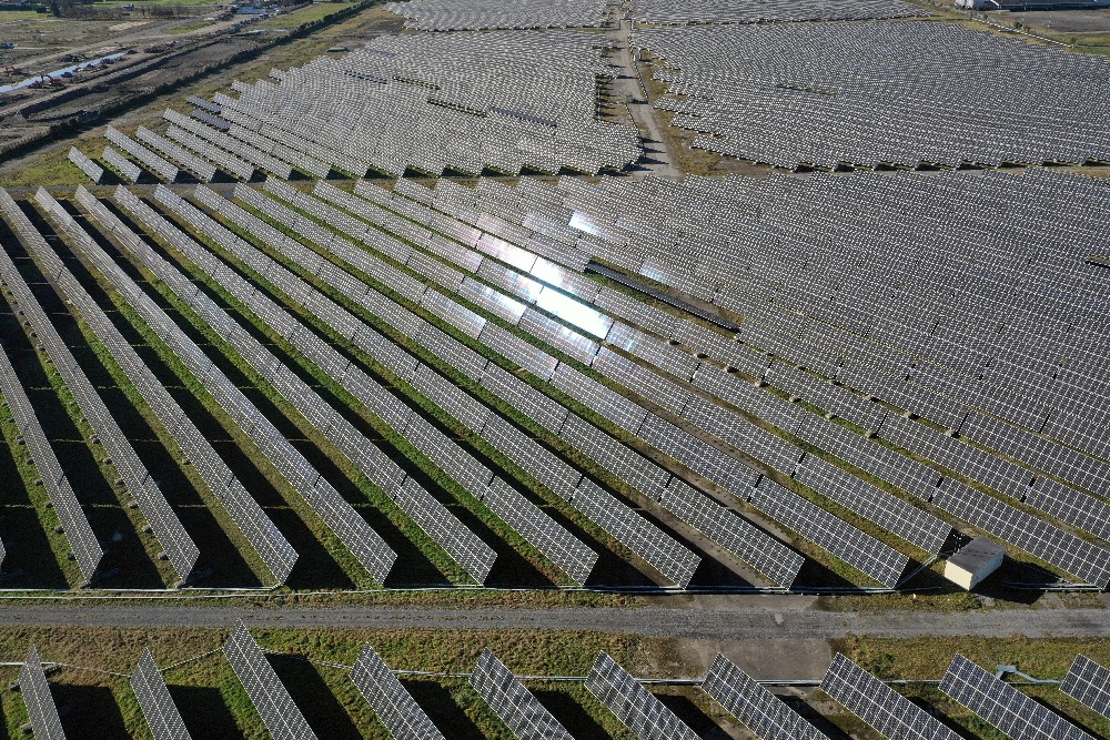 Cette photo représente un champ de panneaux solaires